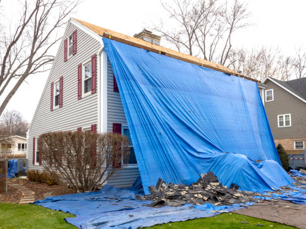 Best Brick Veneer Siding  in South Deerfield, MA